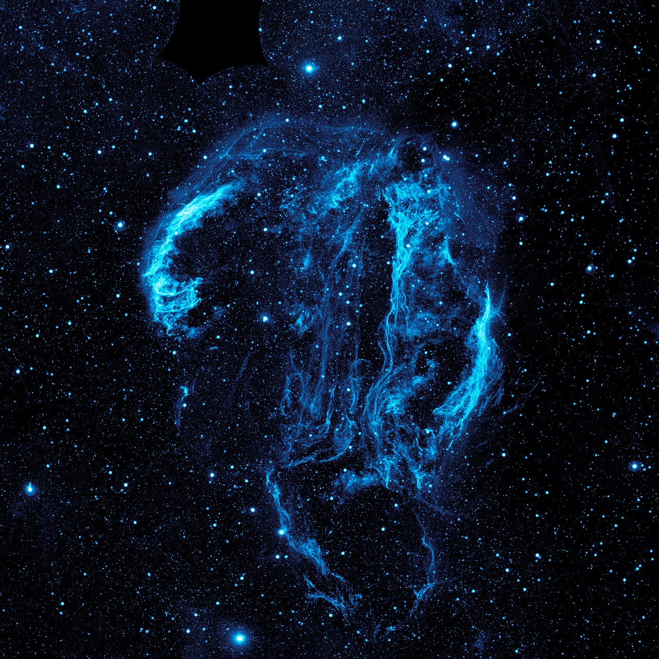 Blue filaments trace the roughly circular Cygnus Loop nebula against a field of stars in a GALEX ultraviolet image.